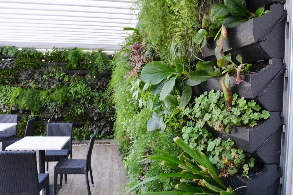 jardin sur le toit