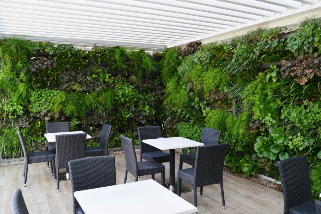 jardin sur le toit