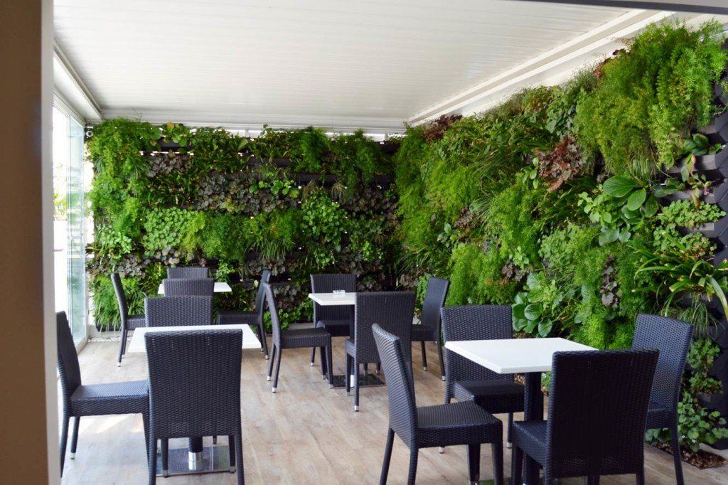 jardin sur le toit