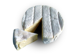 cheese