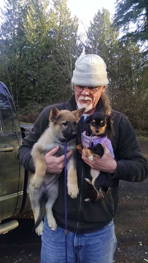 Owner Caring Two Dogs - Janice's Critter Care in Federal Way, WA
