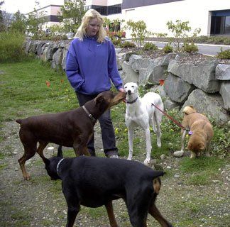 Dogs with Owner - Pet Care in Federal Way, Wa Dogs with Owner - Pet Care in Federal Way, Wa