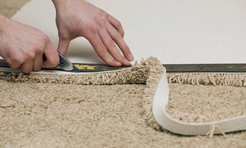 carpet experts