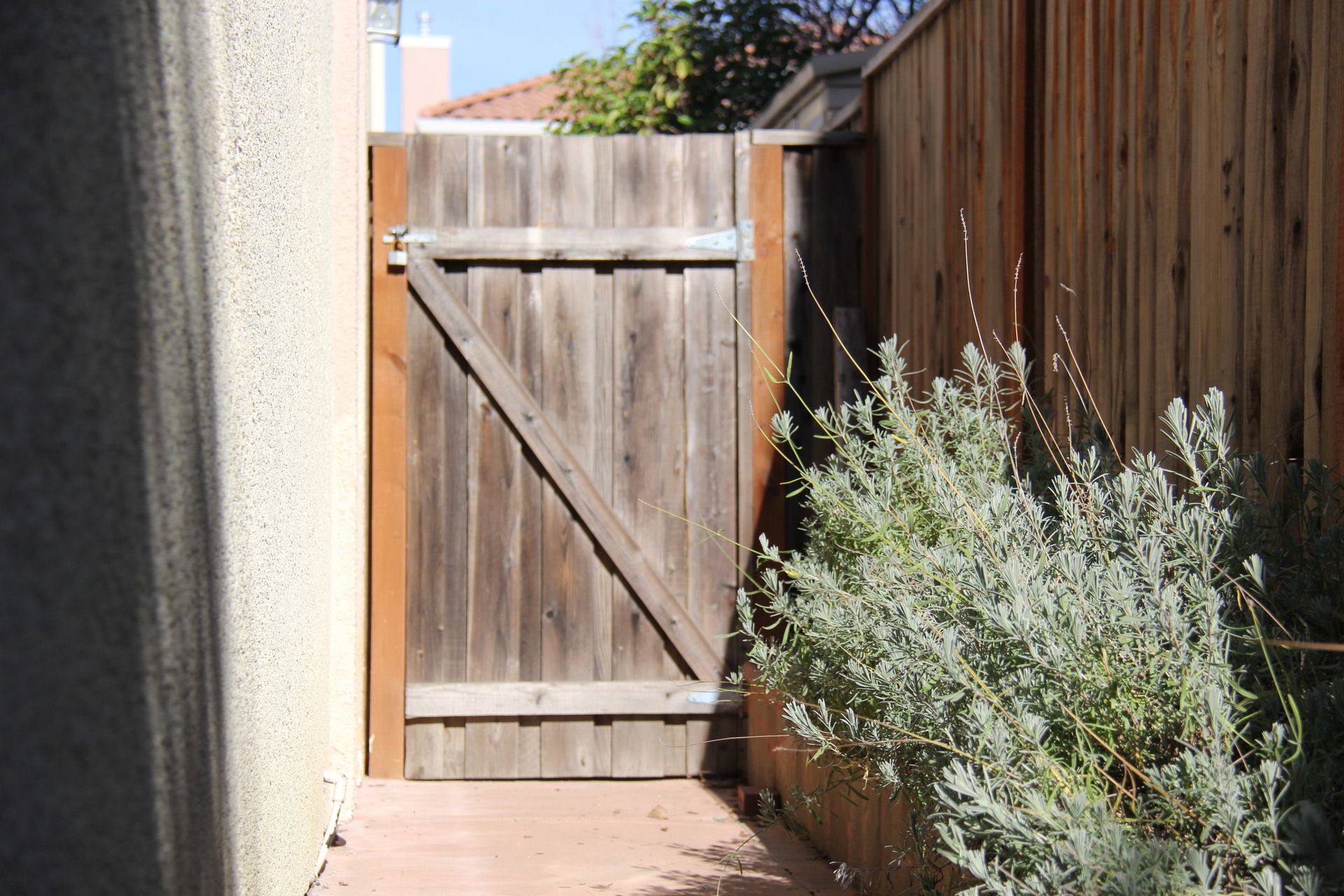 Gating or Not Gating Content