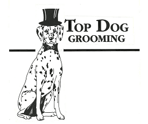 topdog topdog