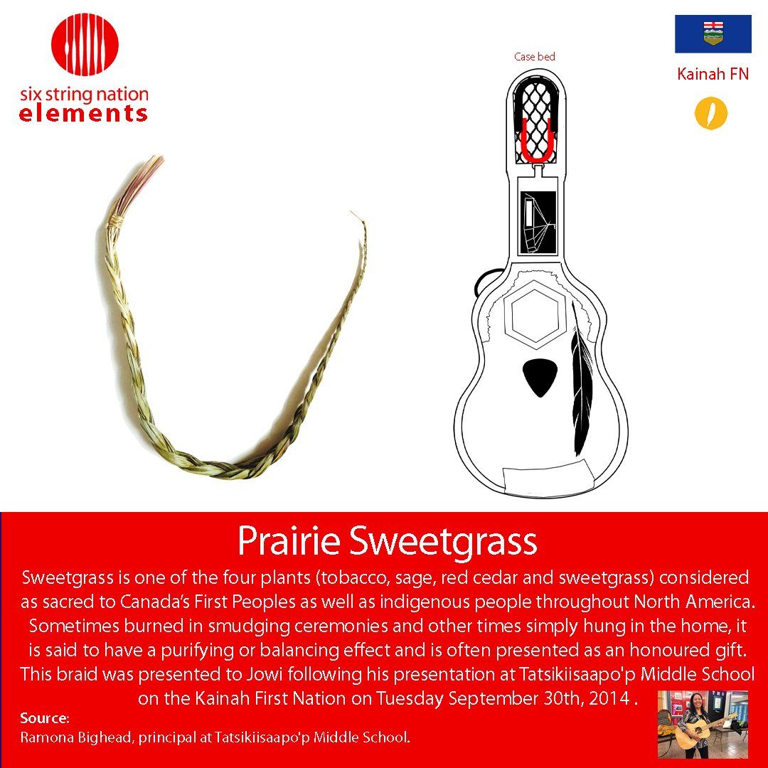 Kainah First Nation Sweetgrass Braid