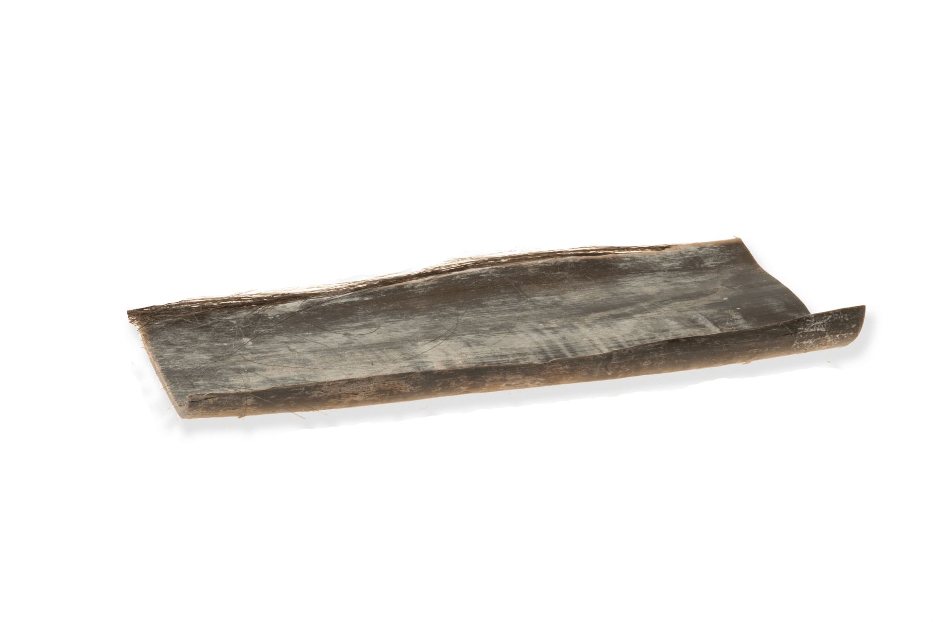 Whale Baleen