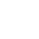 Checked icon