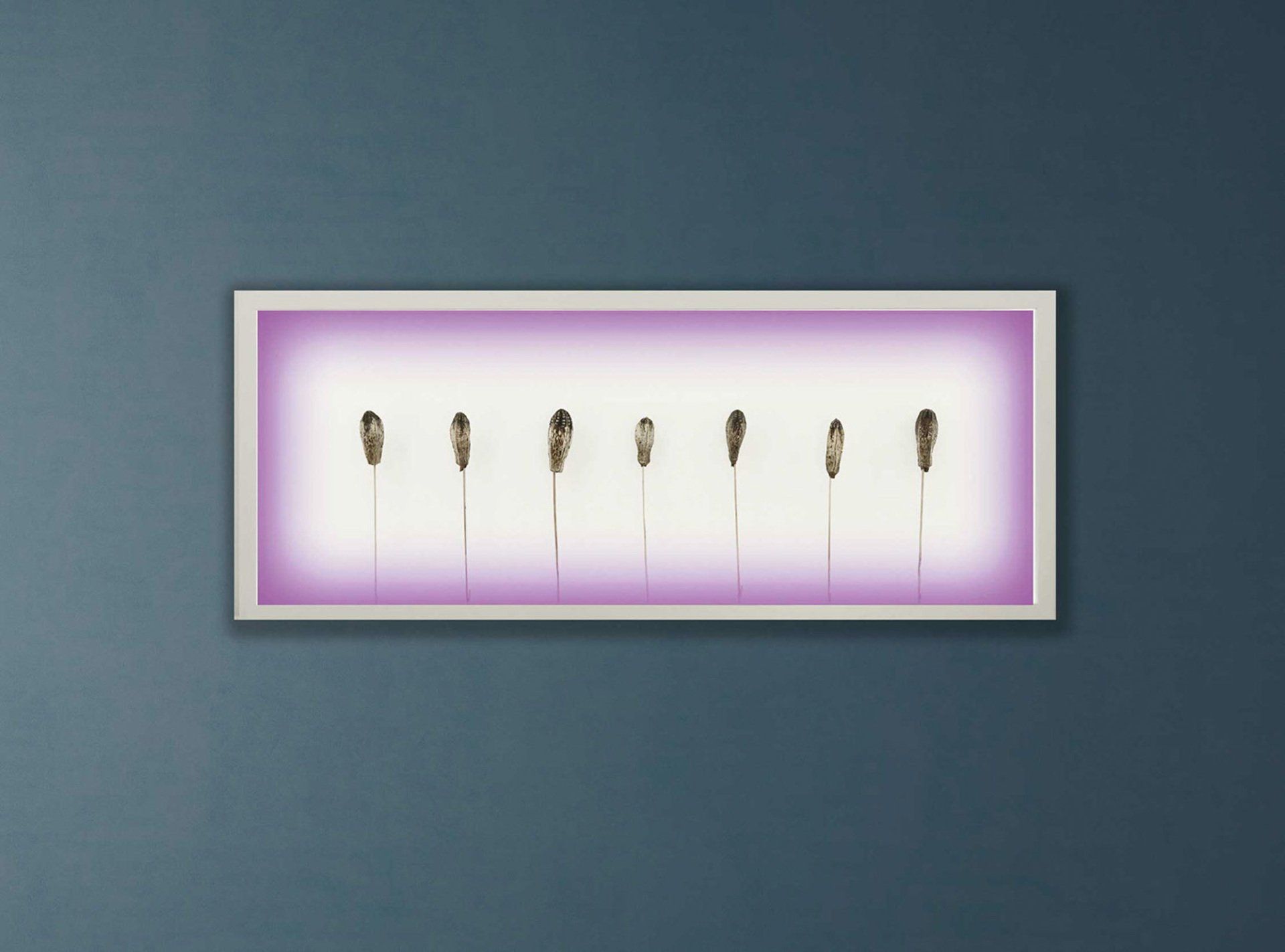 Bilderrahmen mit LED-Framelight