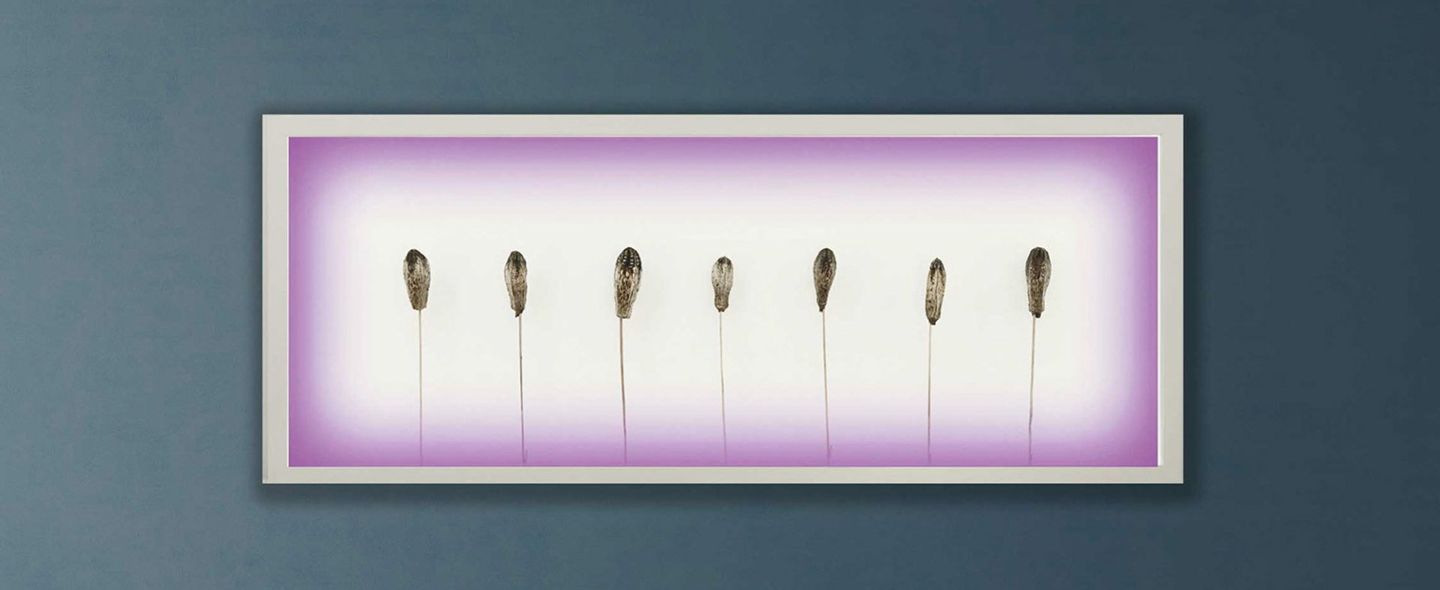 Bilderrahmen mit Schilf und LED-Beleuchtung