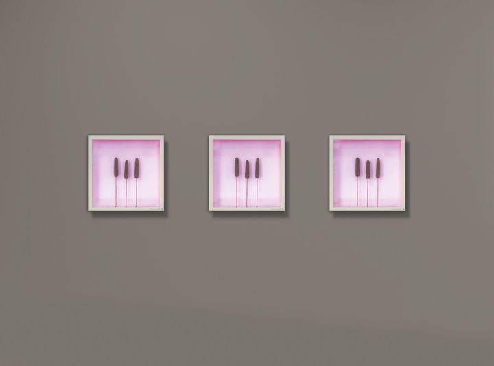 3 Bilderrahmen mit Schilf und LED-Beleuchtung