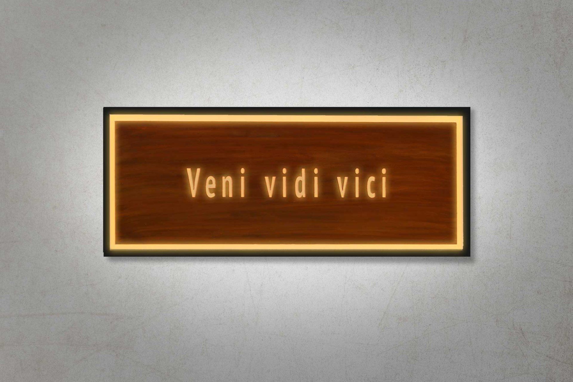 Bilderrahmen Veni Vidi Vici auf Holz mit LED-Umrandung