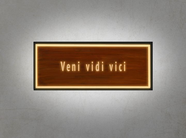Bilderrahmen Vini Vidi Vici