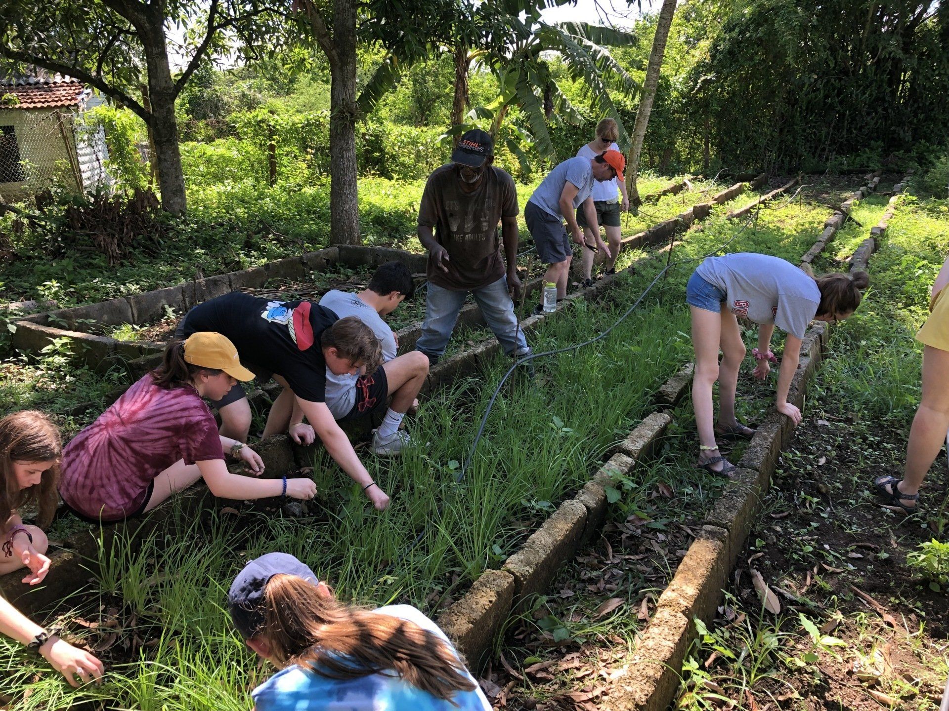Volunteers planting in a garden bed beside a small stream in a wooded park