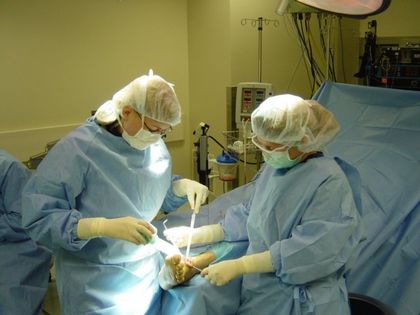 Foot Ankle Doctor Delray Beach FL