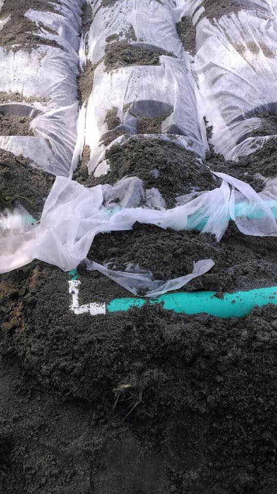 Septic System - Chancey Bohannan Septic & Port-A-Jon, LLC. - Arcadia, FL