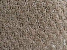 Wood Floor and Porcelain Tile — Saddlebred Color London Square Style Karastan Carpet in Saint Petersburg, FL Wood Floor and Porcelain Tile — Saddlebred Color London Square Style Karastan Carpet in Saint Petersburg, FL