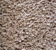Wood Floor and Floor — Almond Toast Color Royalty Style Boukastan Carpet in Saint Petersburg, FL Wood Floor and Floor — Almond Toast Color Royalty Style Boukastan Carpet in Saint Petersburg, FL