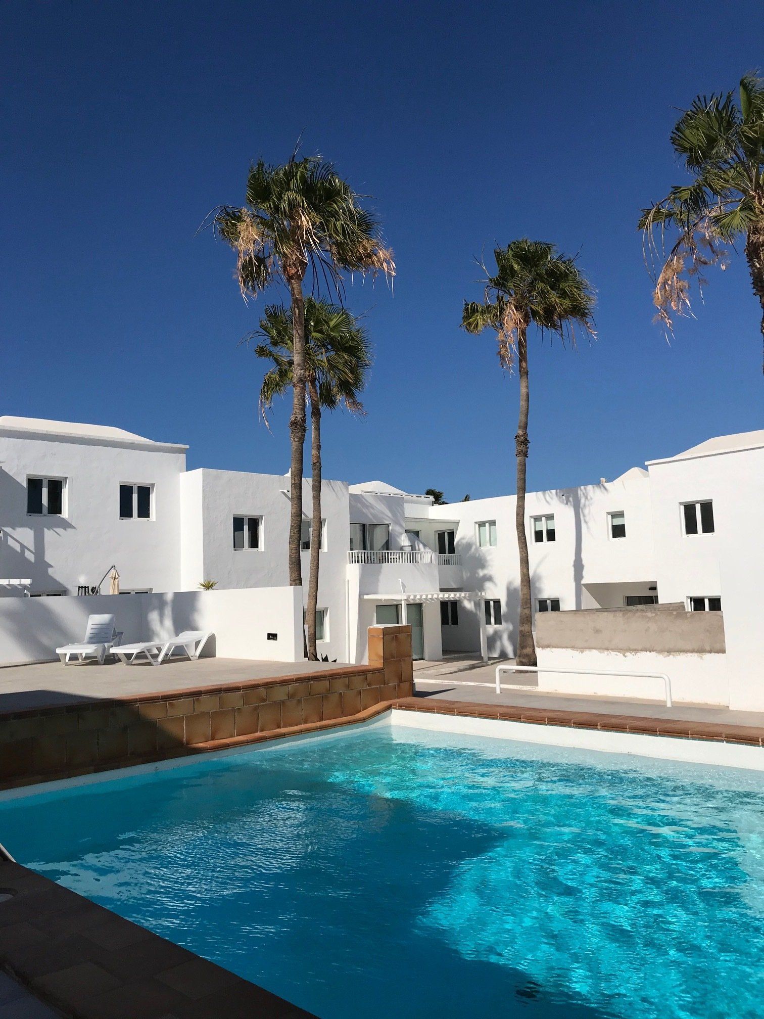 A swimming pool in front of a white building with palm trees