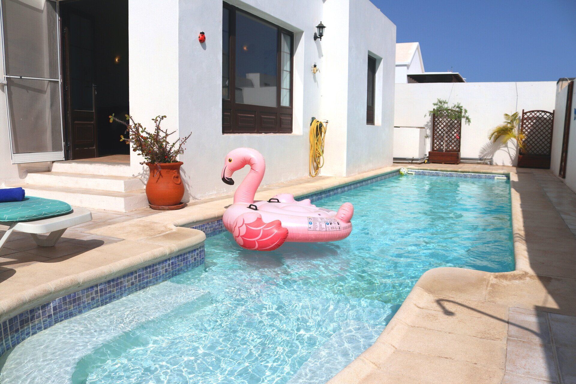 A pink flamingo float is in a swimming pool