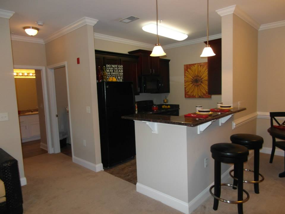 Apartment Kitchen Space