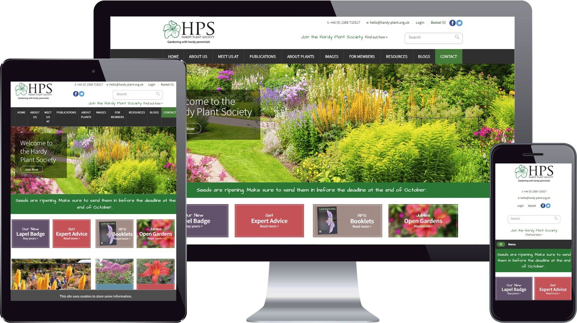Main Banner Responsive Website Main Banner Responsive Website