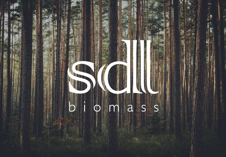 A logo for sdll biomass is displayed in front of a forest