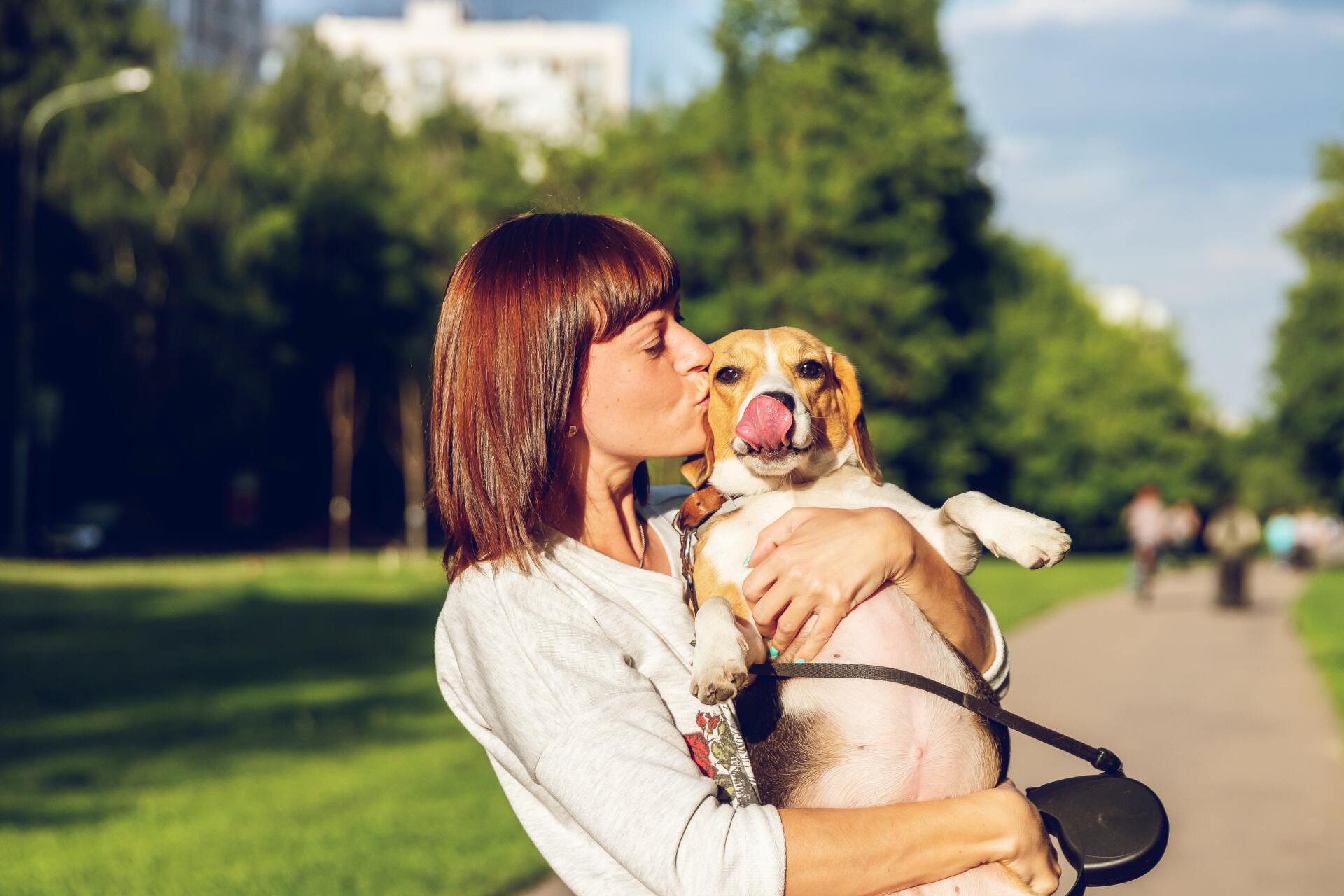 A woman is kissing her beagle dog on the cheek