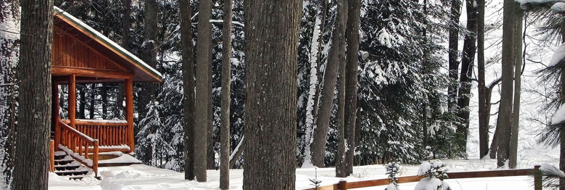 House in the woods during winter