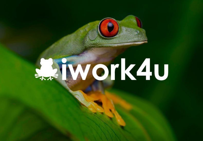 iwork4u