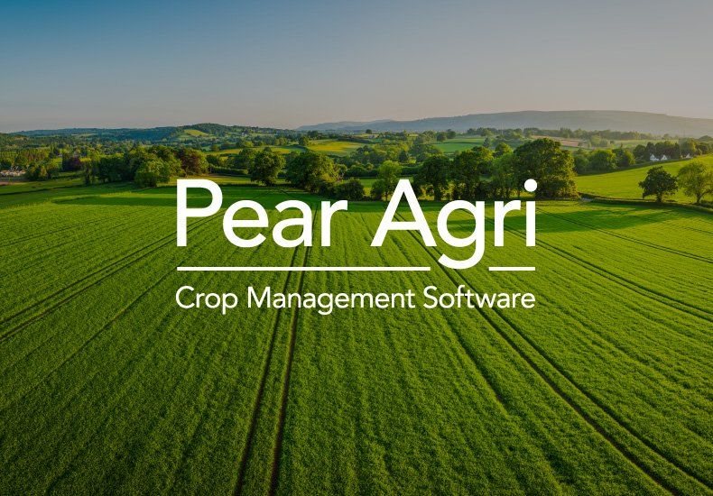 An aerial view of a pear agri crop management software field