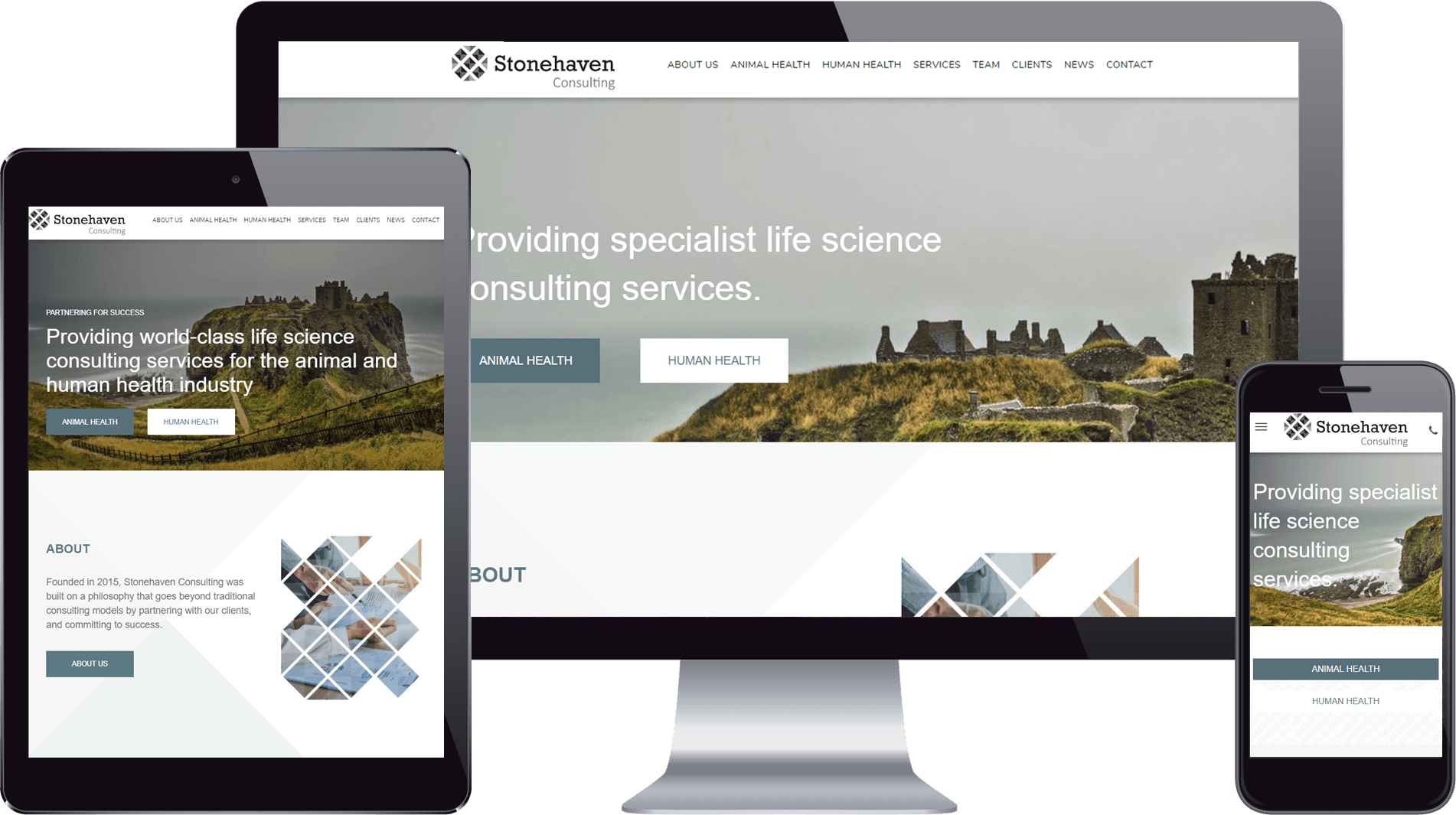 Main Banner Responsive Website Main Banner Responsive Website