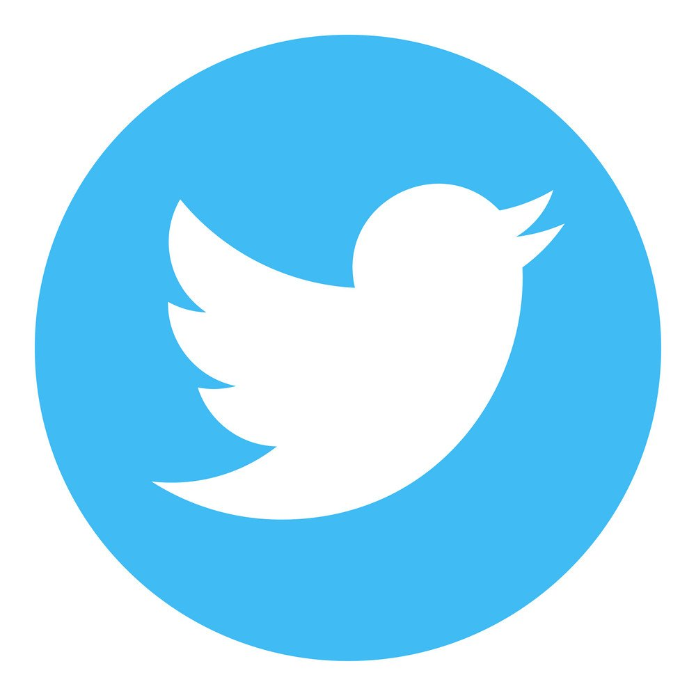 A white bird is in a blue circle on a white background.