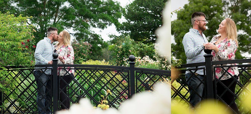 engagement photography wedding photographers norfolk suffolk lowestoft rose gardens