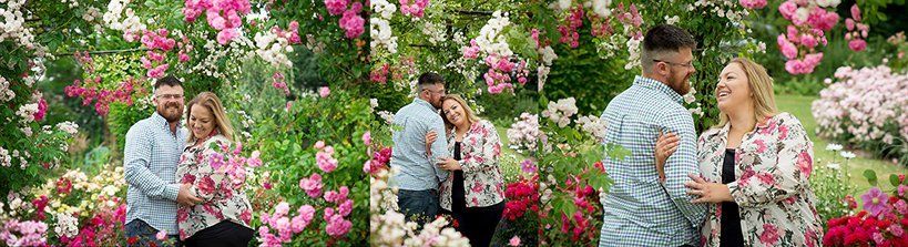 engagement photography wedding photographers norfolk suffolk lowestoft rose gardens