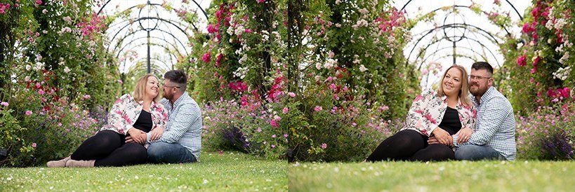 engagement photography wedding photographers norfolk suffolk lowestoft rose gardens