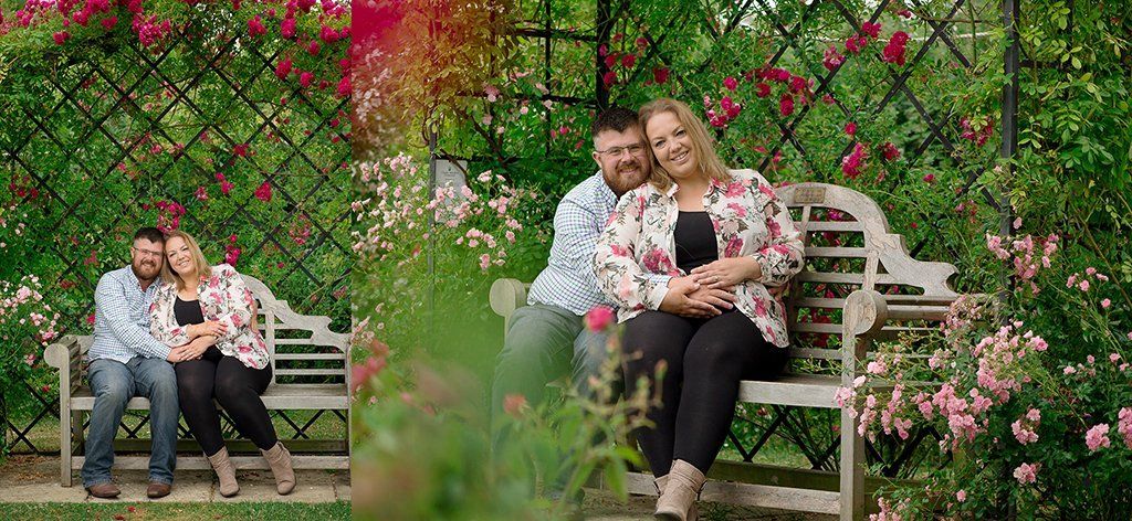 engagement photography wedding photographers norfolk suffolk lowestoft rose gardens