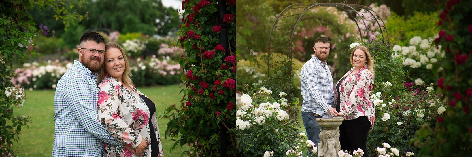 engagement photography wedding photographers norfolk suffolk lowestoft rose gardens