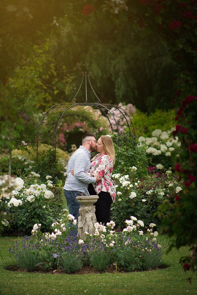 engagement photography wedding photographers norfolk suffolk lowestoft rose gardens