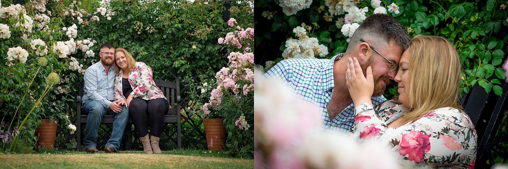 engagement photography wedding photographers norfolk suffolk lowestoft rose gardens