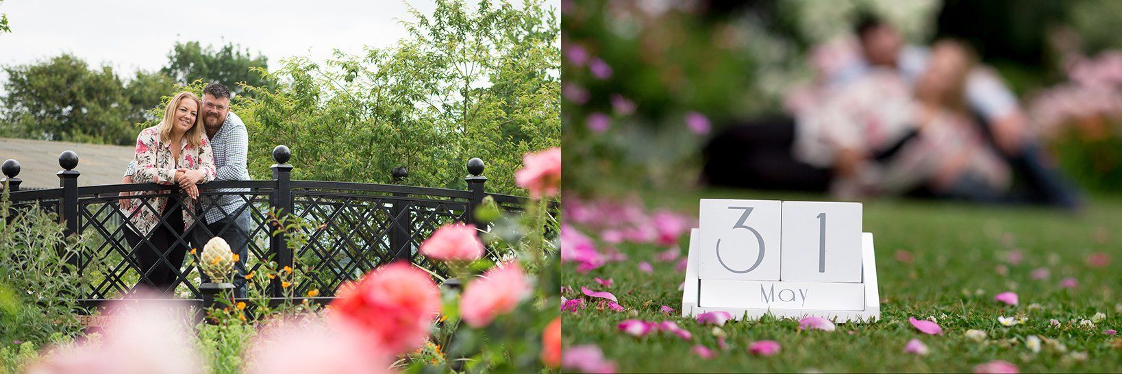 engagement photography wedding photographers norfolk suffolk lowestoft rose gardens