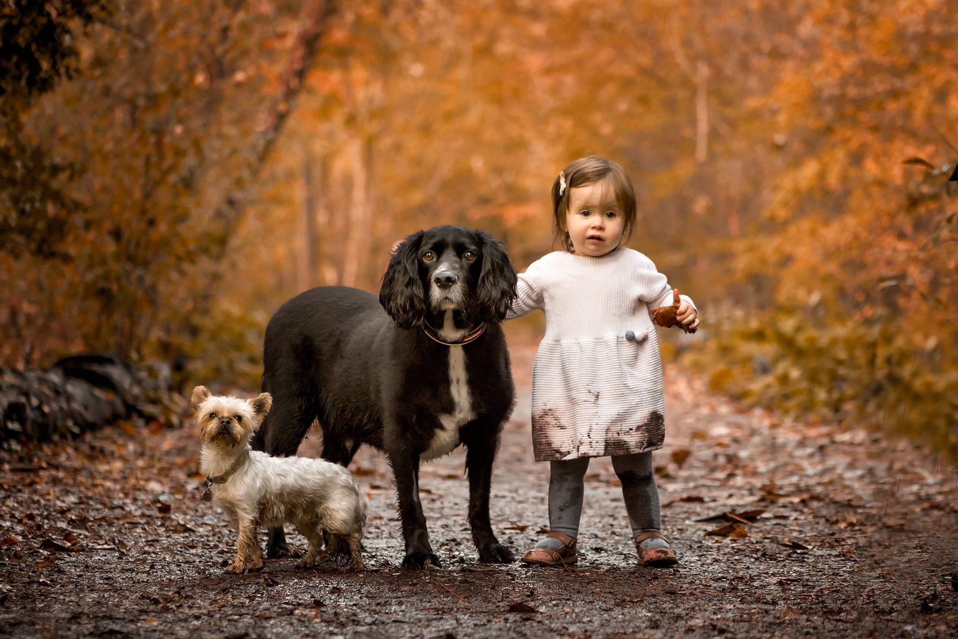 baby-family-photographers-lowestoft-beccles-dogs