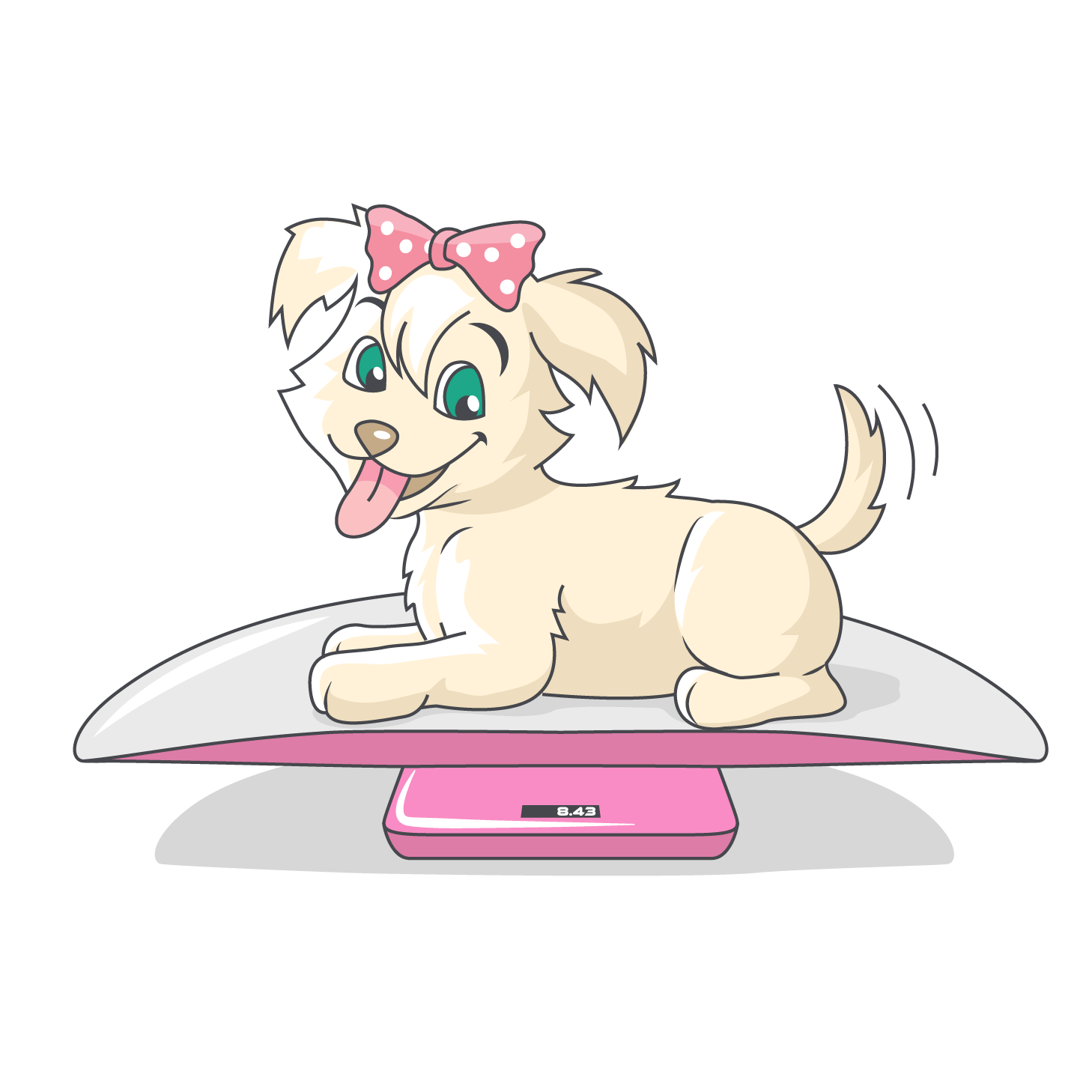 Dog Groomer Holly Springs