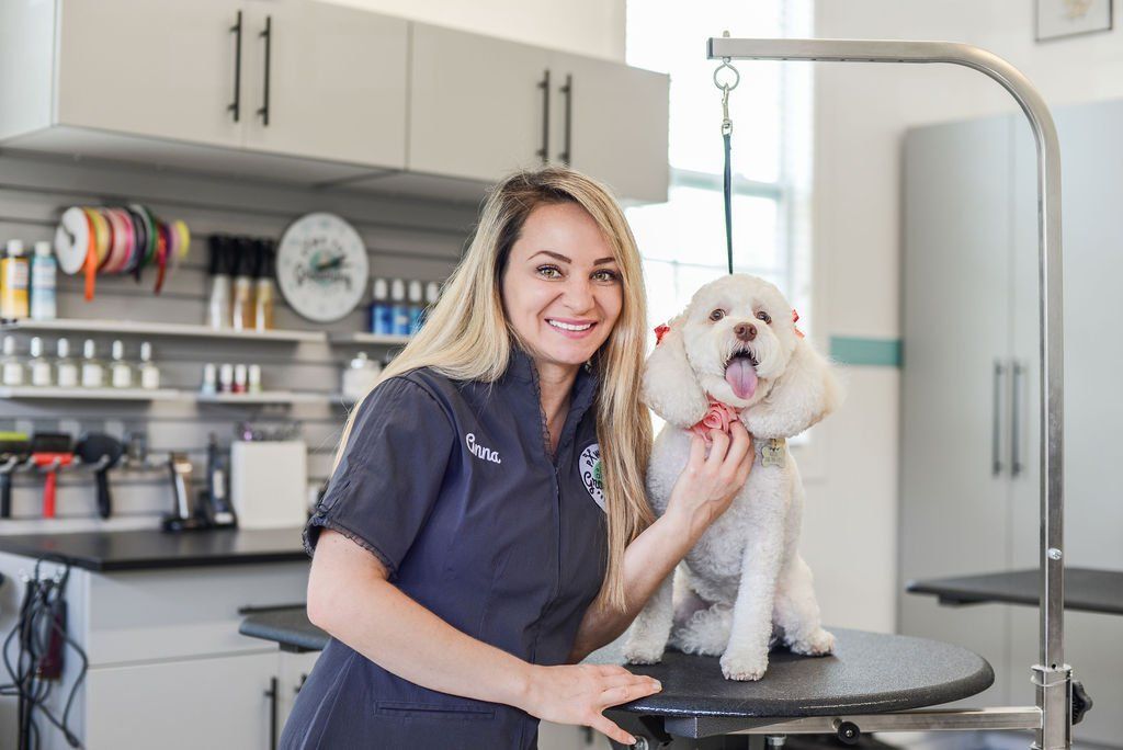 Dog Grooming Expert Holly Springs