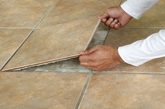Tiling expert in Manawatu region