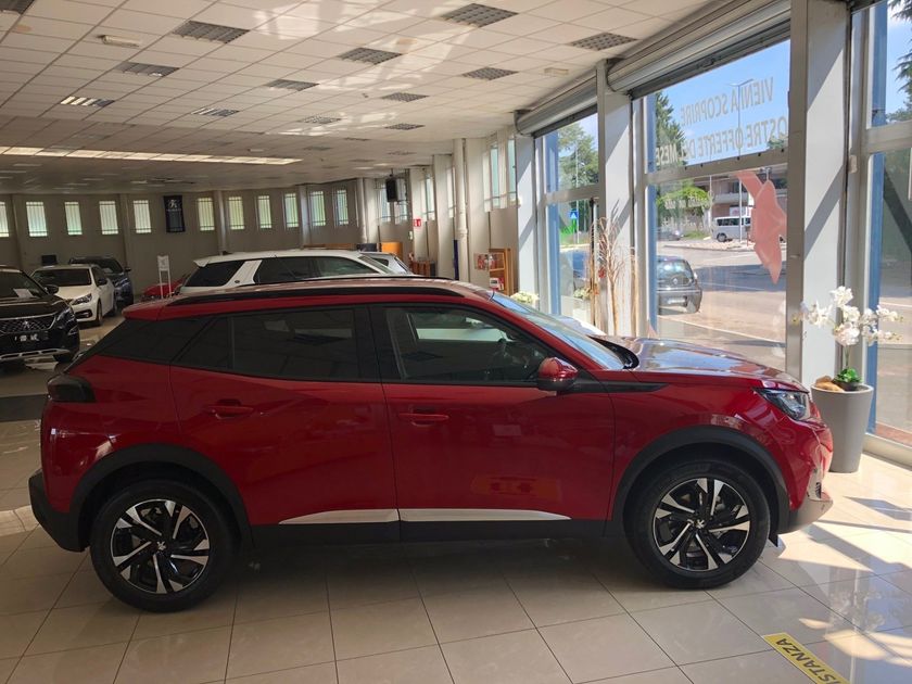 auto usate in vendita esposte nello show-room