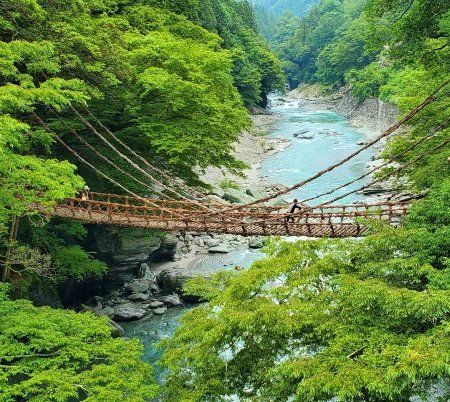 Iya-no-Kazurabashi of Nishi-Iya