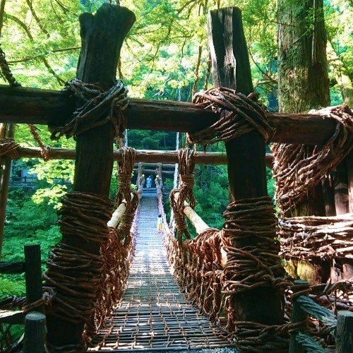 The Kazurabashi Vine Bridge of Nishi-Iya