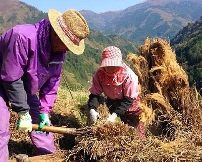 Iya Valley farmers