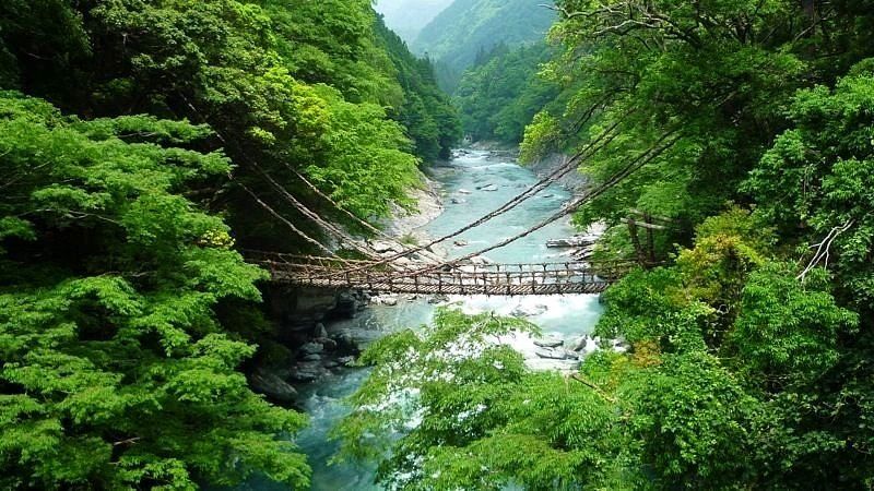 Iya-no-Kazurabashi